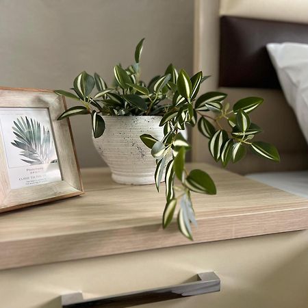New Modern Tirana Apartment 외부 사진