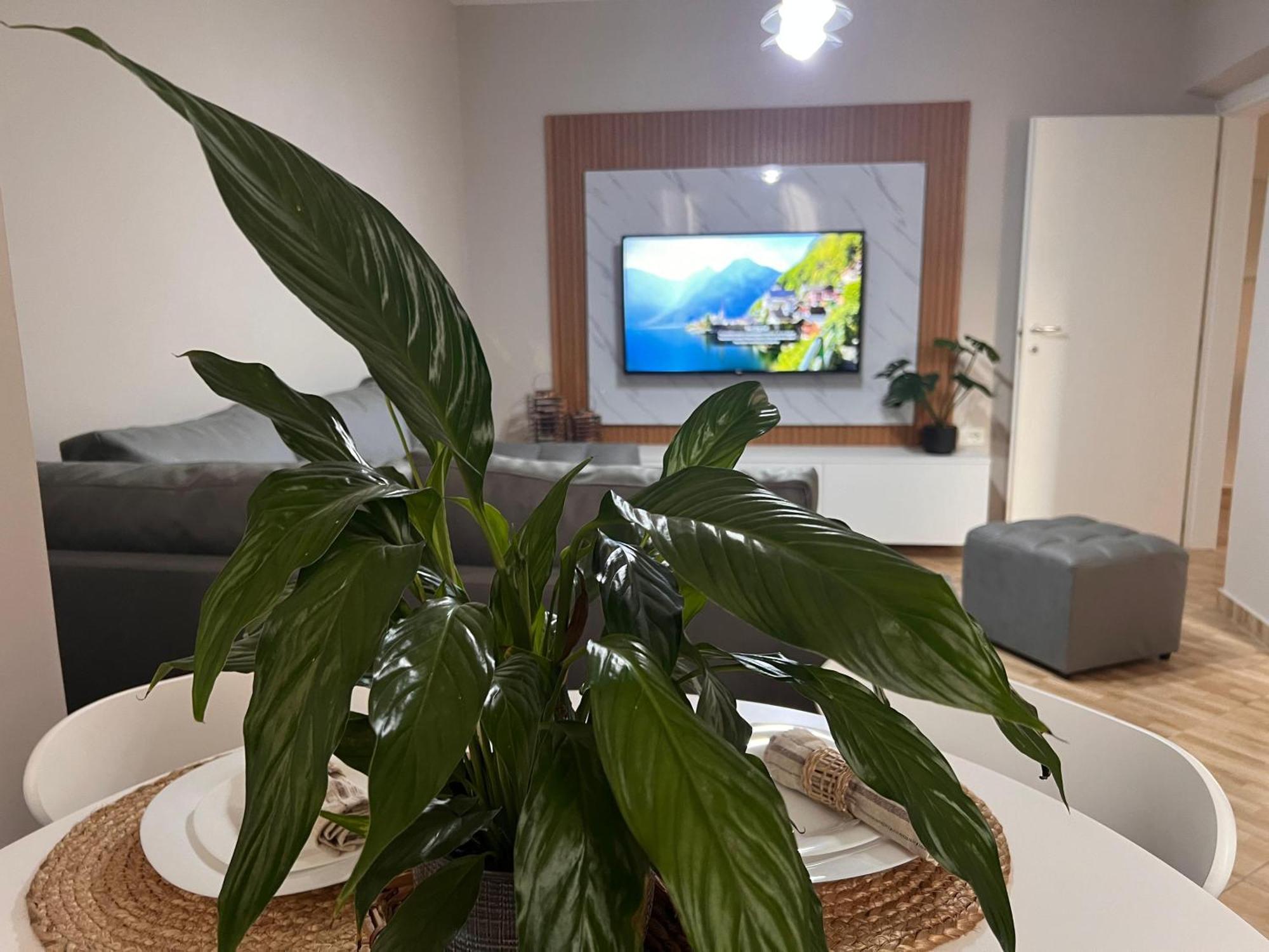 New Modern Tirana Apartment 외부 사진